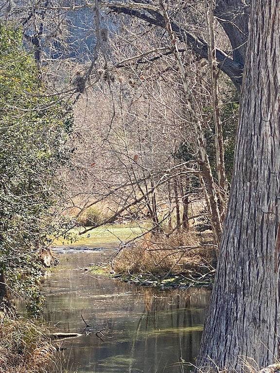 Sweet Riverside Cabin, Easy Walk 2 River, Private River Access, River Views! in Concan, Uvalde County