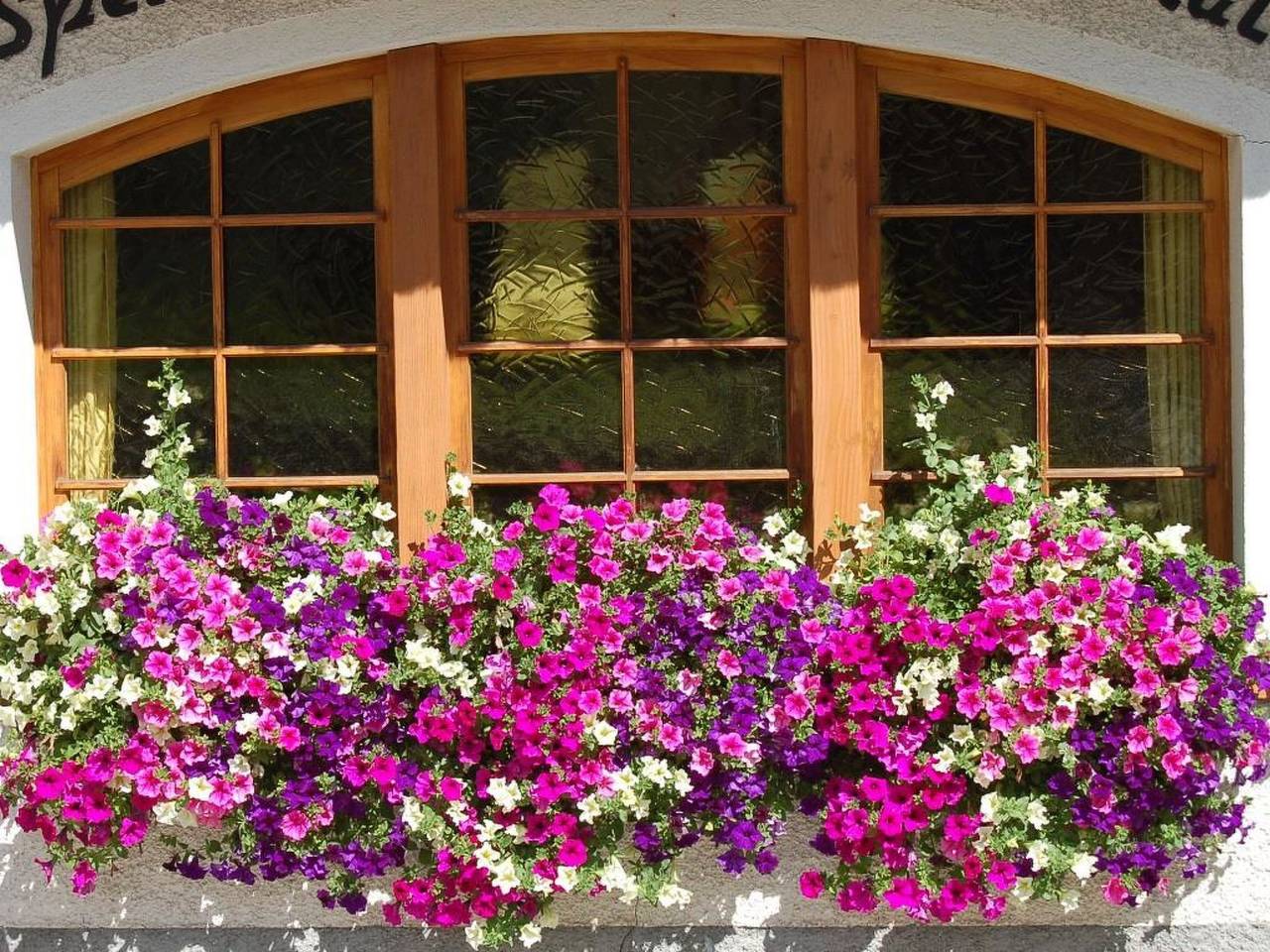 Apartamento entero, Swiss Chalet in Saas Fee, Alpes del Valais