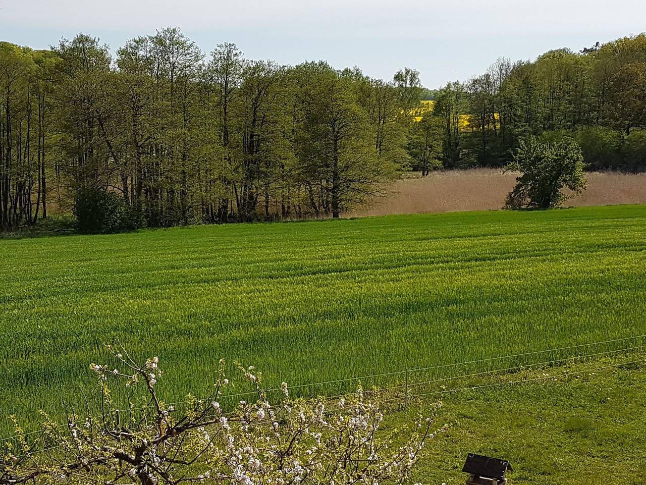 Ganze Ferienwohnung, Ferienwohnung Kranichblick in Hoppenrade, Mecklenburgische Seenplatte