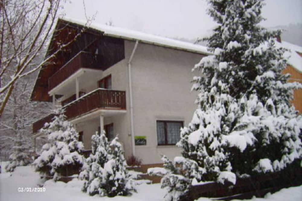 Ganze Wohnung, Haus Erika - Ferienhaus in Zorge, Harzvorland