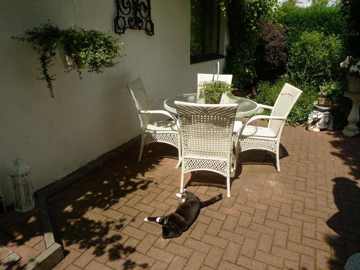 One-Bedroom House in Treptow - Köpenick, Berlin