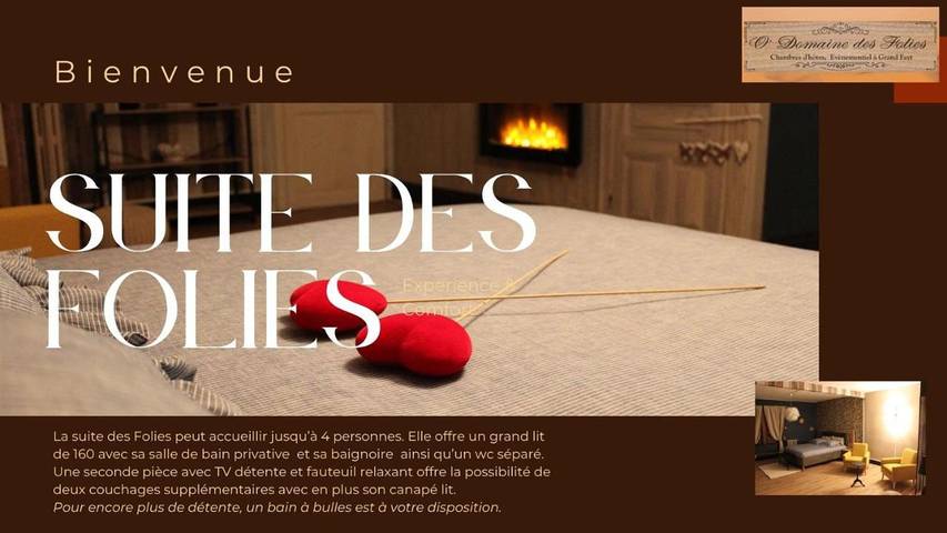 Maison d’hôte pour 4 personnes, avec jardin et jacuzzi dans Avesnes-sur-Helpe - 2