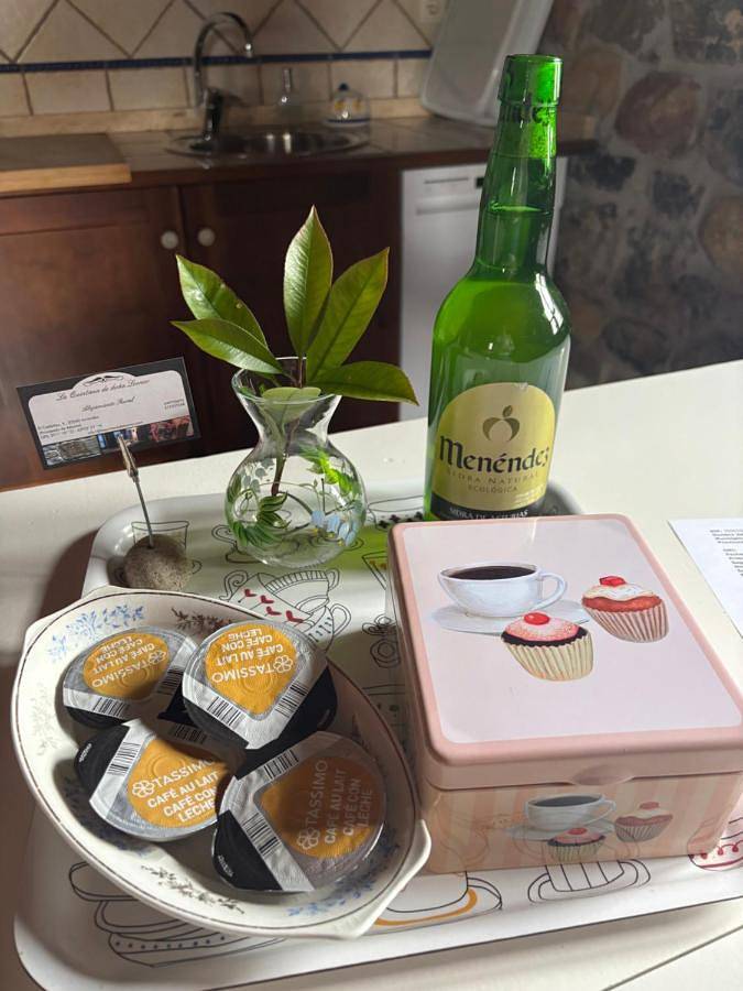 Casa rural para 5 personas, con vistas y jardín en Parres - 4