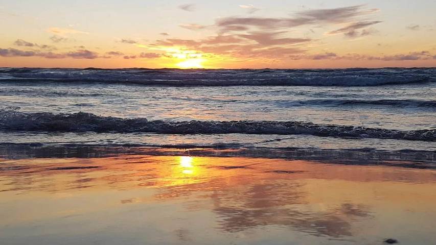Ferienhaus für 7 Personen, mit Sauna und Pool, mit Haustier in Dänemark an der Nordsee - 2