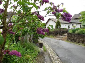 Gîte pour 4 personnes, avec jardin, animaux acceptés à Winkel