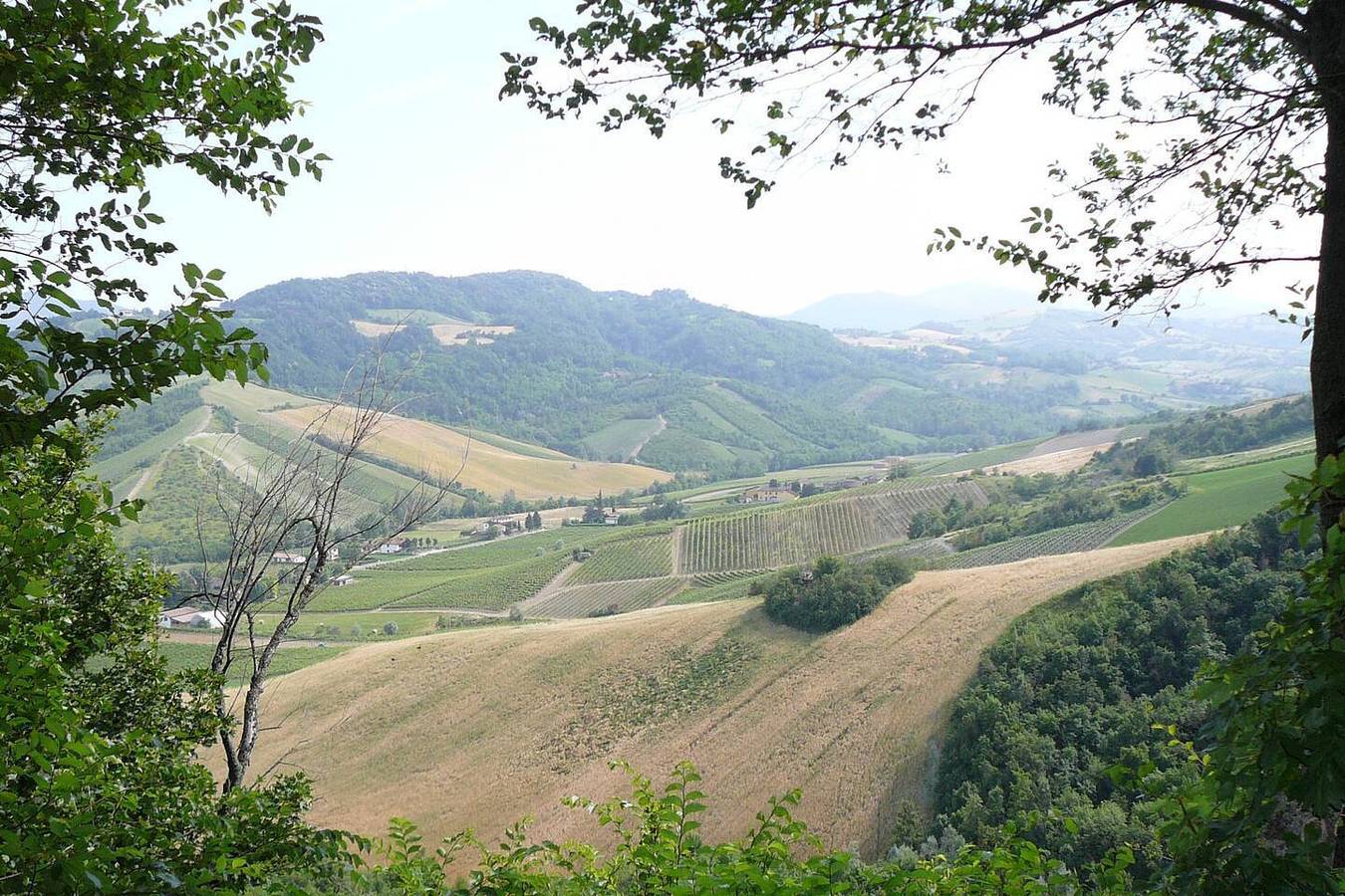 Lodge für 4 Personen mit Terrasse in Castell'Arquato, Piacenza Provinz