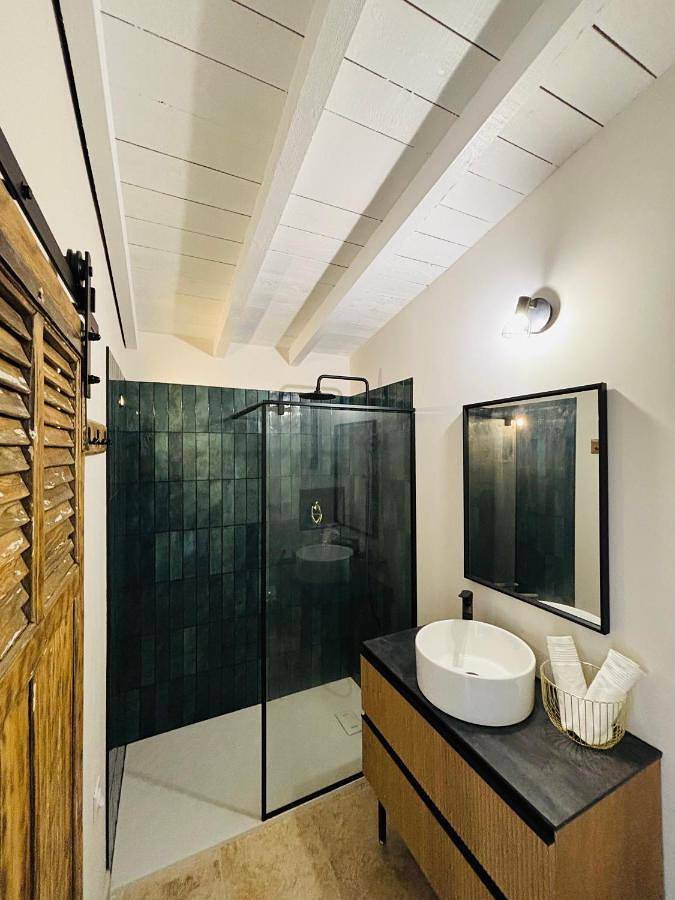 Chambre d’hôte pour 2 personnes, avec jacuzzi et jardin à Arles - 3