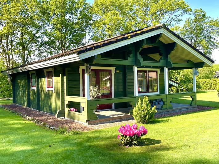 Ferienhaus für 6 Personen, mit Terrasse und Garten in Drenthe