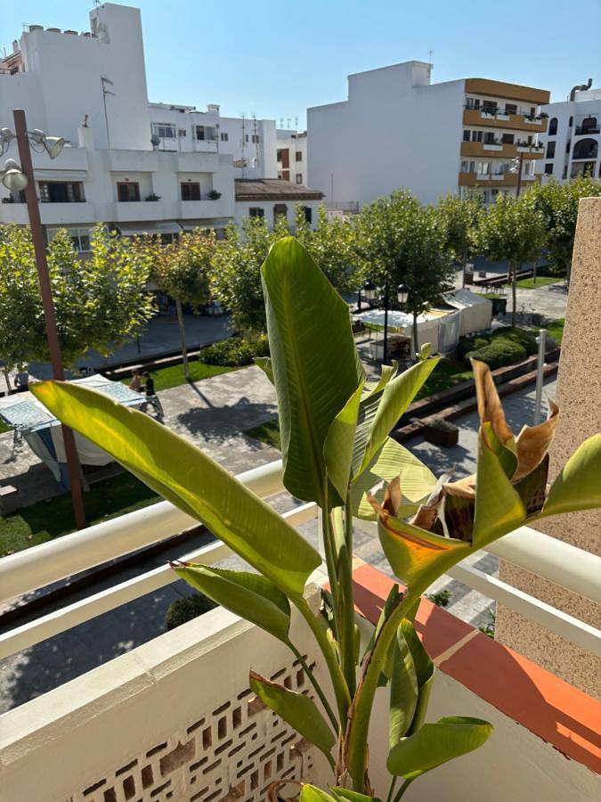 Maison d’hôte pour 2 personnes, avec terrasse à Santa Eulària des Riu - 2