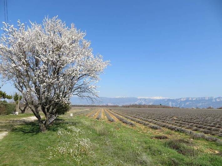 Gîte pour 4 personnes, avec Terrasse ainsi que Jardin et Vue à Sainte-Croix-du-Verdon - 2