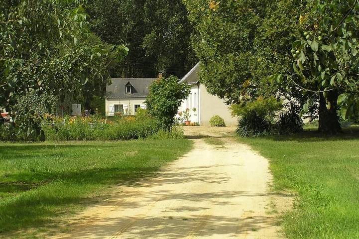 Gîte calme avec piscine chauffée, cheminée, salle de jeux et vélos - parfait pour familles et amis in La Chapelle-aux-Choux, Vallée de la Loire