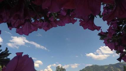 Vakantiewoning voor 4 Personen in Tannheim, Allgäuer Alpen (Oostenrijk), Afbeelding 3