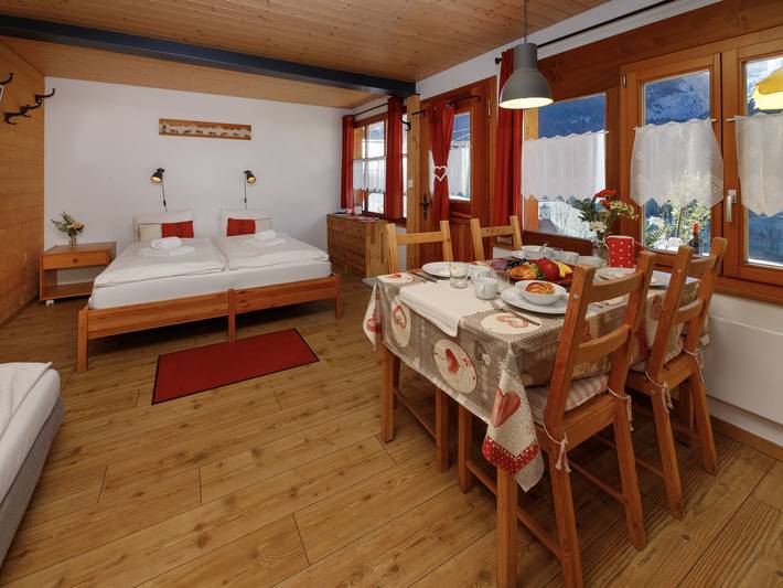 Hütte für 4 Personen, mit Terrasse und Garten in Grindelwald - 2