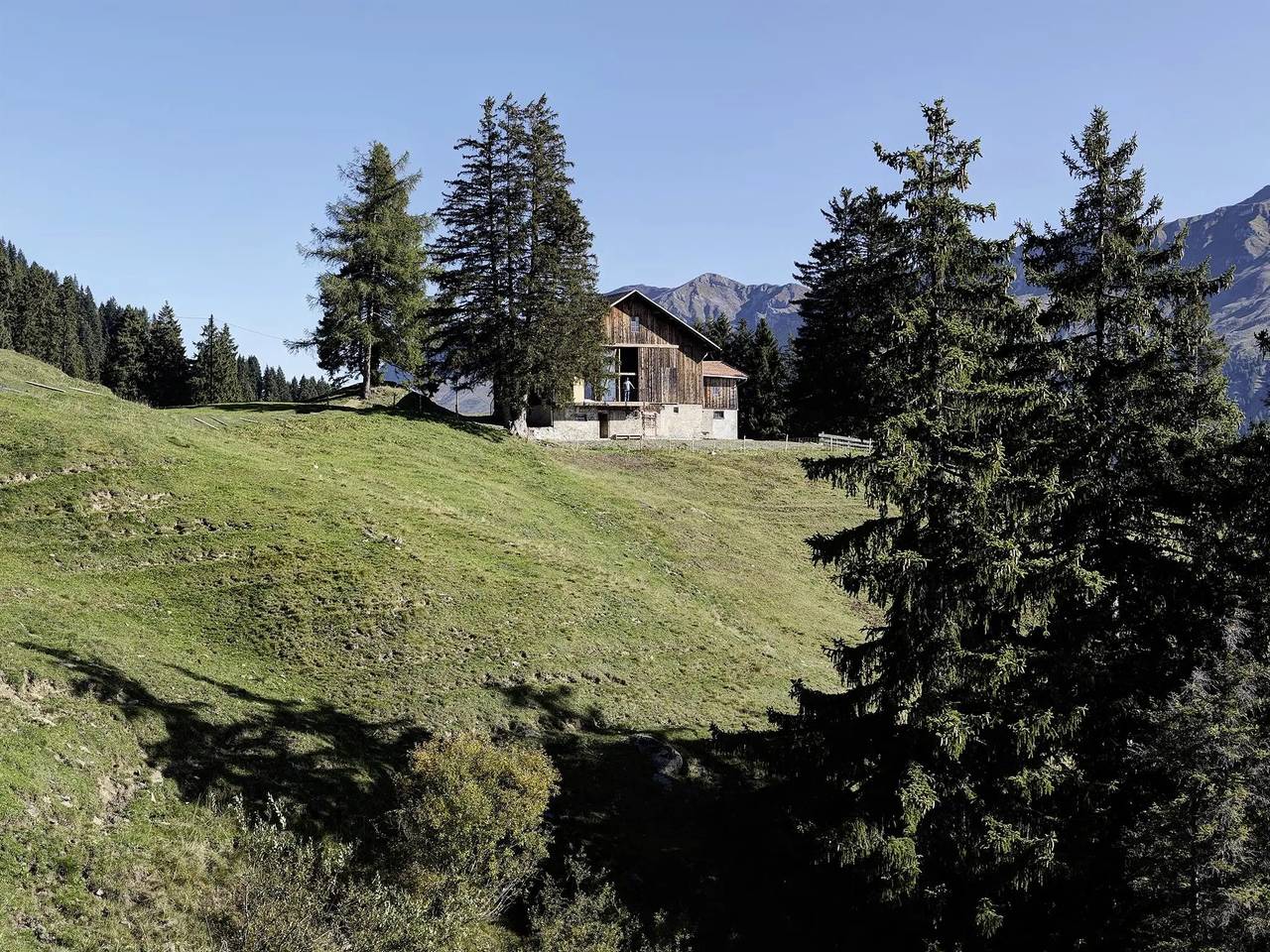 Ganze Wohnung, 3 Pièces 6 Personnes in Vaz/Obervaz, Plessur Alpen