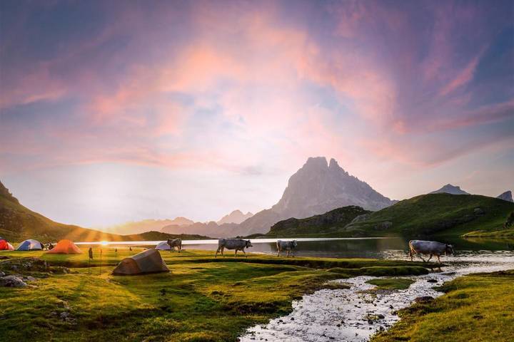Gîte pour 4 personnes, avec piscine ainsi que vue et jardin à Bielle (Pyrénées-Atlantiques) - 4