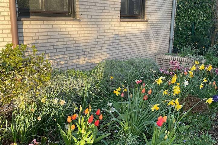 Ferienhaus für 7 Personen, mit Terrasse und Garten in Xanten