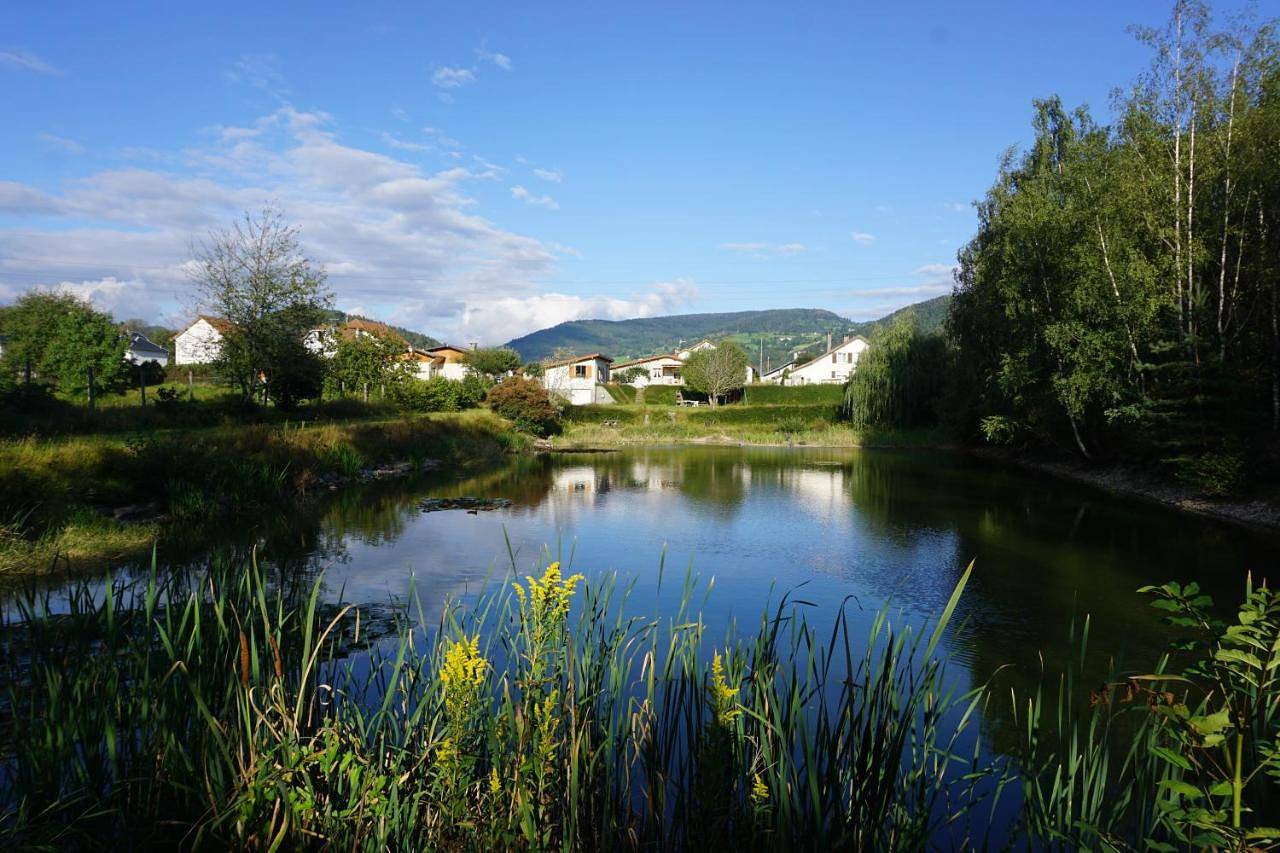 Le gîte et l'étang de pêche in Vagney, Regionaler Naturpark Belchen der Vogesen