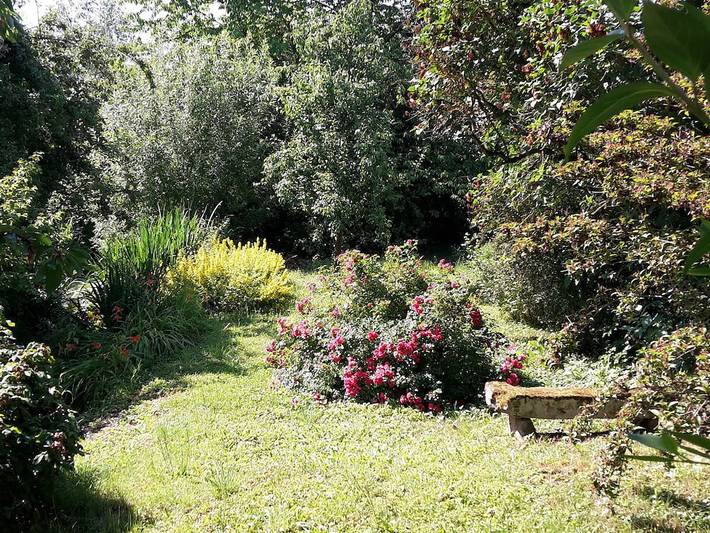 Bauernhof für 4 Personen, mit Sauna und Garten in der Pfalz - 3