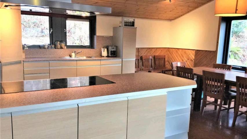 Location de vacances pour 18 personnes, avec sauna ainsi que piscine et jardin dans Odeigne - 4