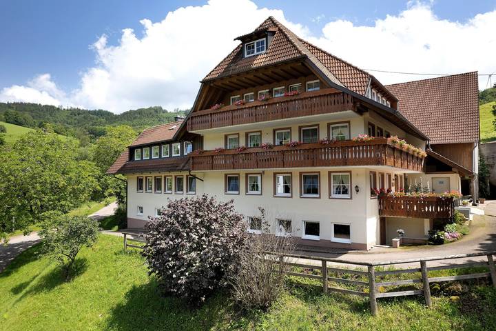 Ganze Wohnung, Ferienwohnung 2  "Abendsonne", 65qm, 2 Schlafzimmer, max. 4 Personen in Freiamt, Südschwarzwald