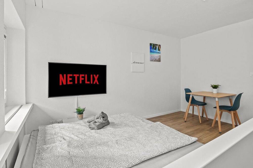 Appartamento intero, City Center_Twin Bed_Workplace_Washer in Winterthur, Canton Zurigo