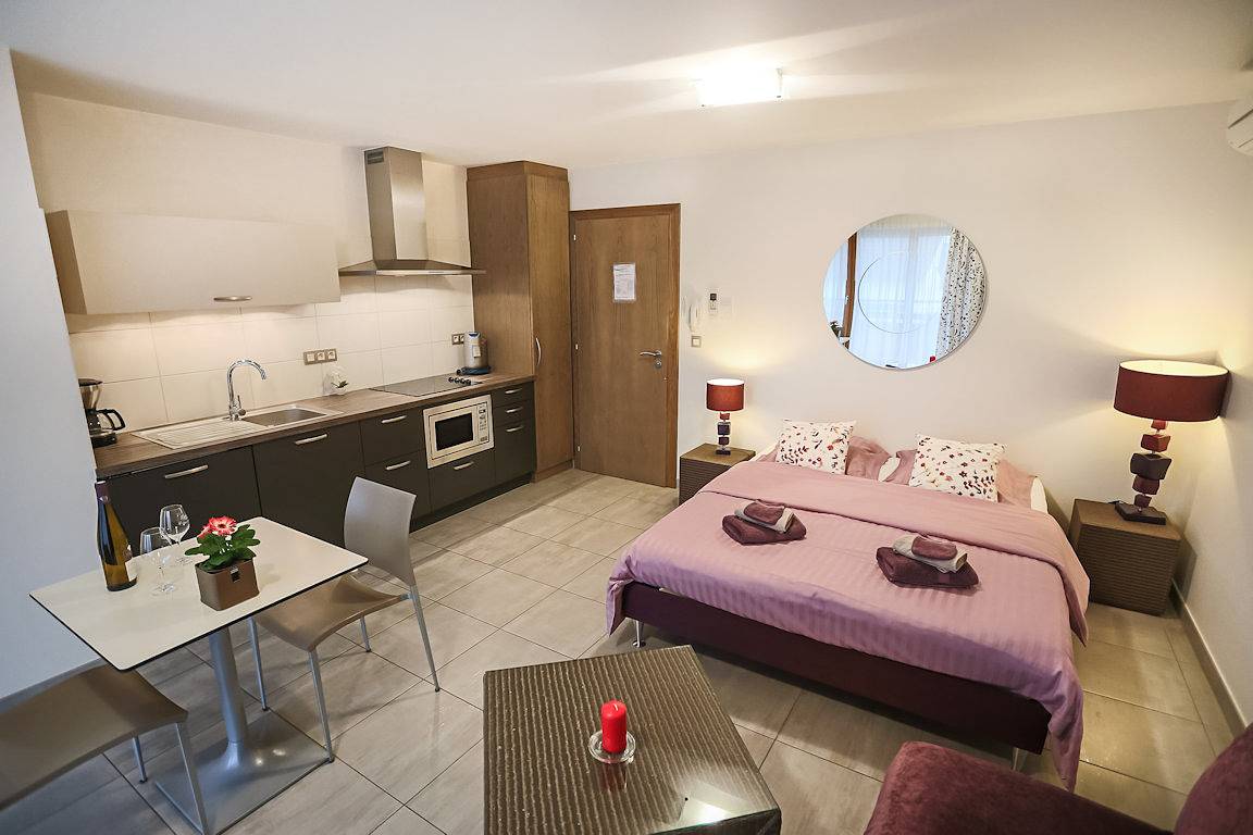 Chambres d'Hôtes ou Studio - le Relais du vigneron - Studio Gewurztraminer in Eguisheim, Parc naturel régional des Ballons des Vosges