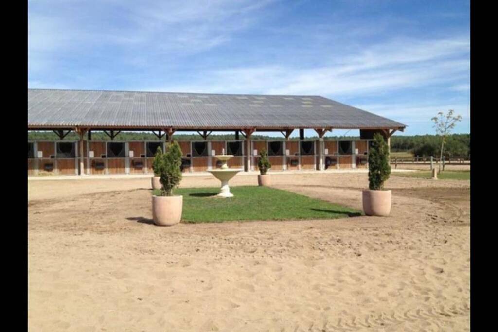 Appartement entier, Two-Bedroom House in Allonnes, Vallée de la Loire