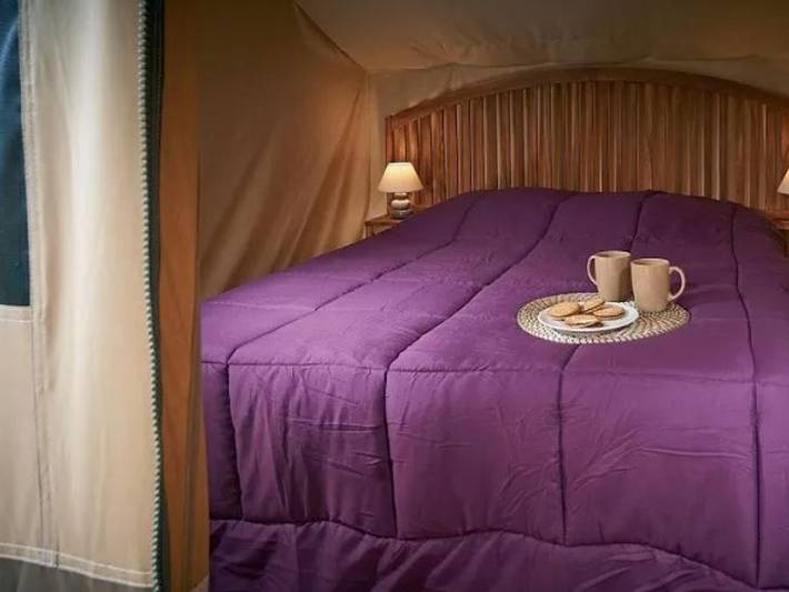 Tente pour 2 personnes, avec Bassin pour enfant en Vendée - 4
