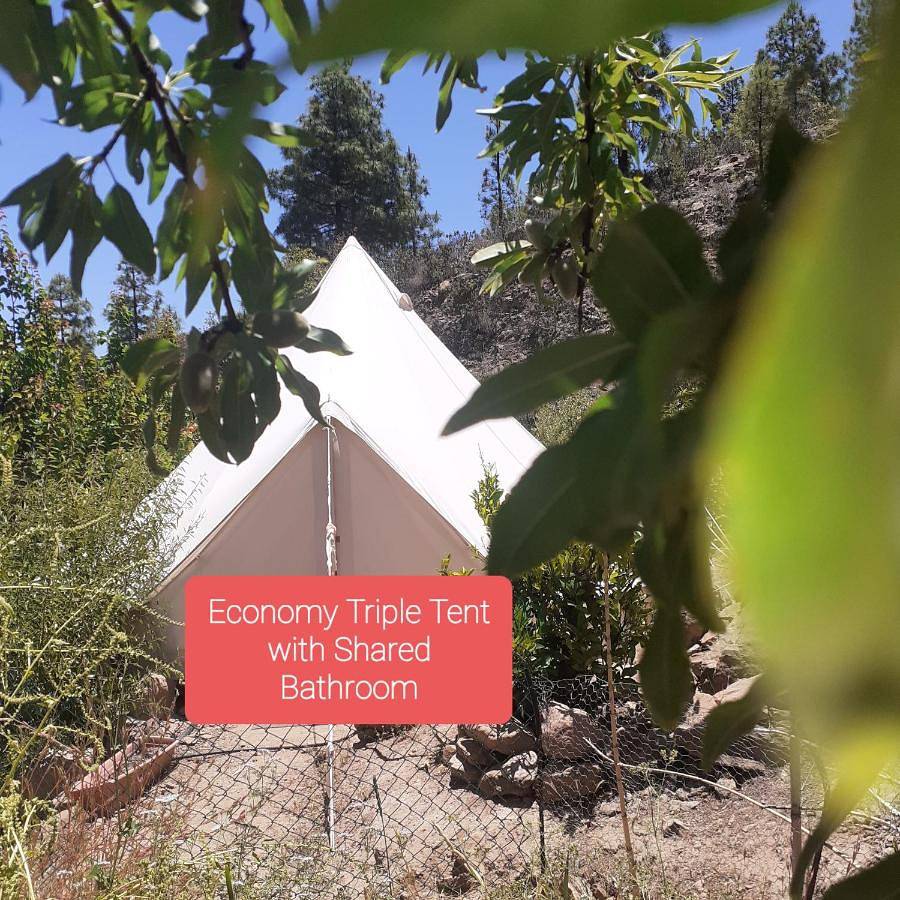 La finca del don Ganapati in San Bartolomé de Tirajana, Gran Canaria Sur