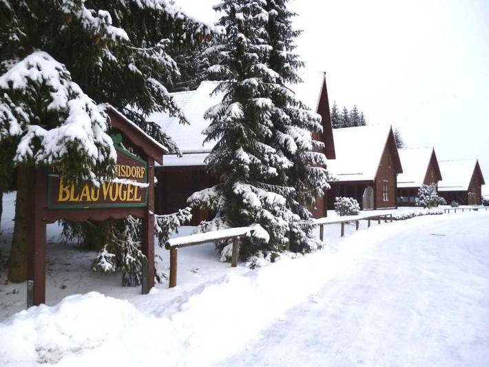 Ferienhaus für 5 Personen, mit Terrasse und Garten sowie Sauna im Harz - 2