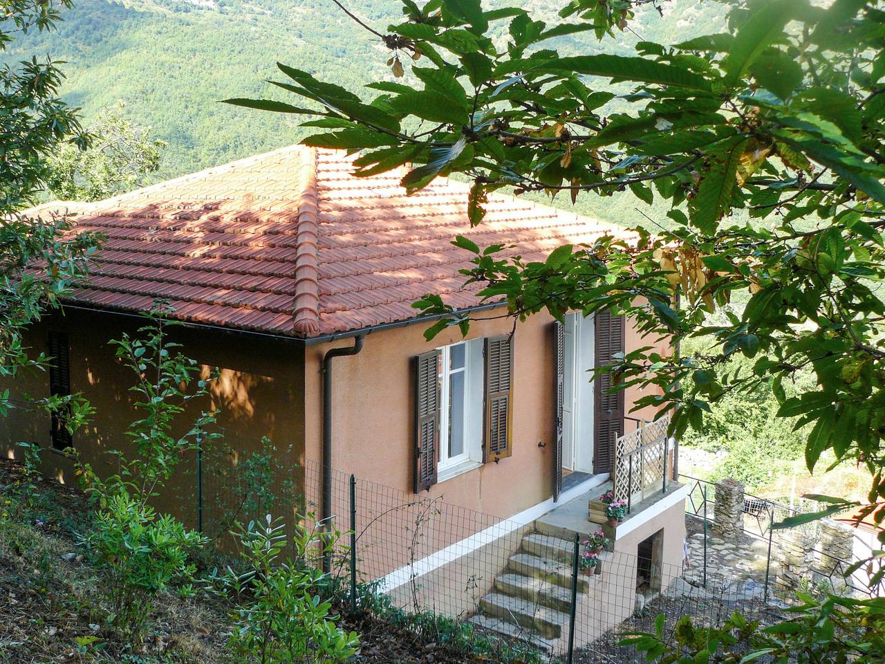 Serena (Cox100) in Conio (Borgomaro), Borgomaro