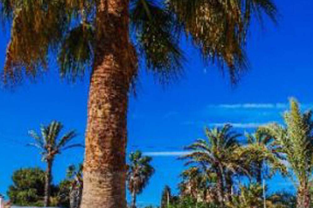 Ferienhaus in La Manga ideal für Familien, Haustiere in La Manga del Mar Menor, Cartagena