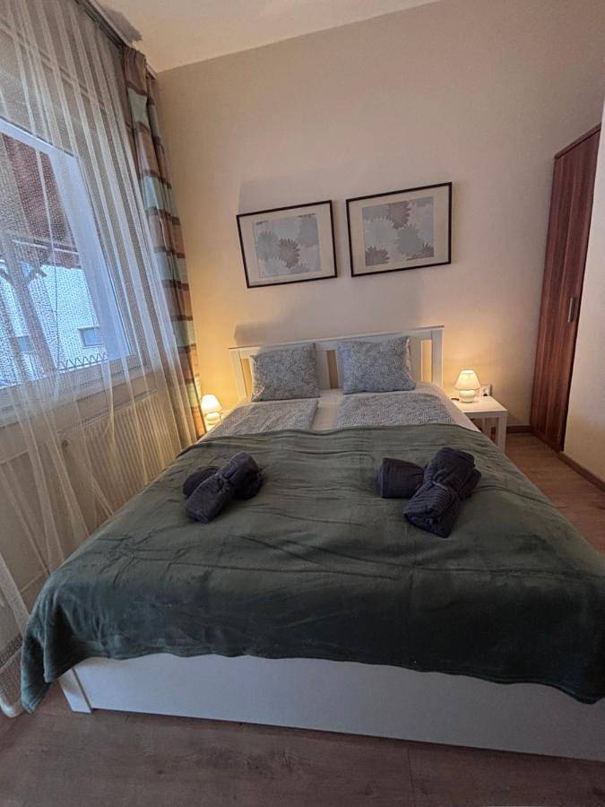 Chambre d’hôte pour 2 personnes, avec terrasse à Vecsés - 4