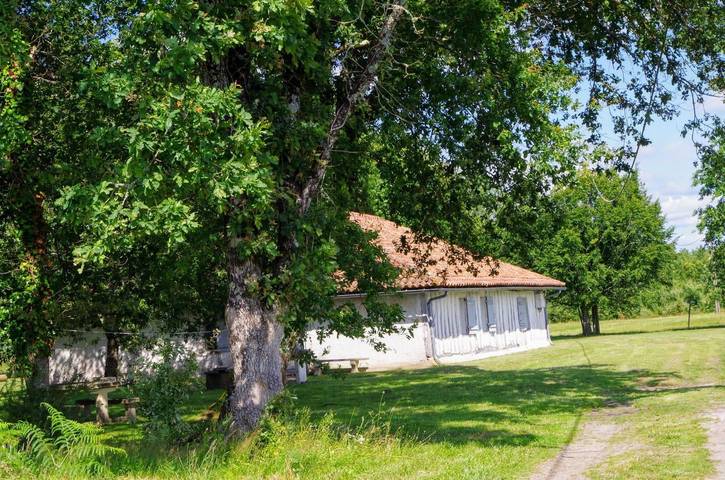 Gîte pour 8 personnes, avec terrasse et jardin dans Parc naturel régional des Landes de Gascogne - 4