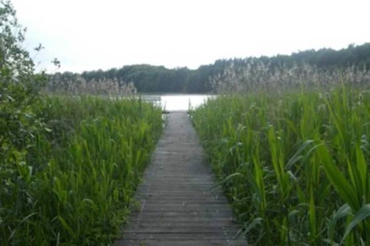Ferienhaus für 4 Personen, mit Garten in Lalendorf - 2