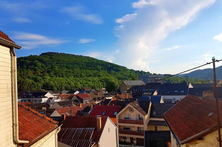 Location de vacances pour 6 personnes, avec Balcon à Bollendorf