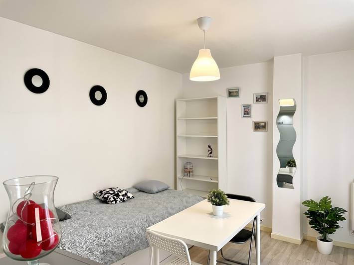 Ganzes Studio, Modernes Studio Le Perreux-sur-Marne 17m² in Le Perreux-sur-Marne, Val-de-Marne