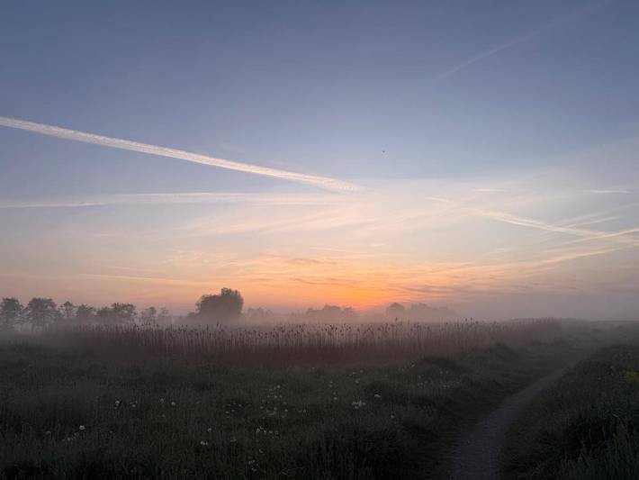 Gîte pour 2 personnes, avec terrasse et jardin dans Broek in Waterland - 3