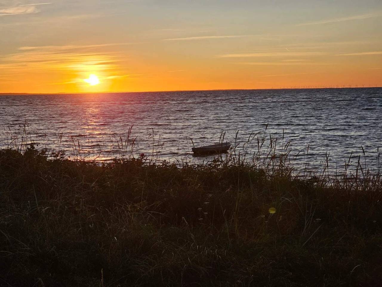 Natur-Ruckzug am Strand in Fjellerup Strand, Djursland