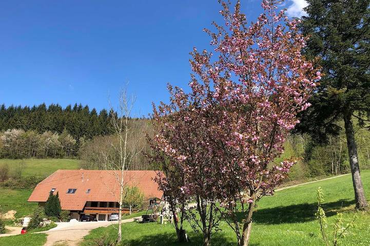 Ferienwohnung für 3 Personen, mit Garten in Waldkirch