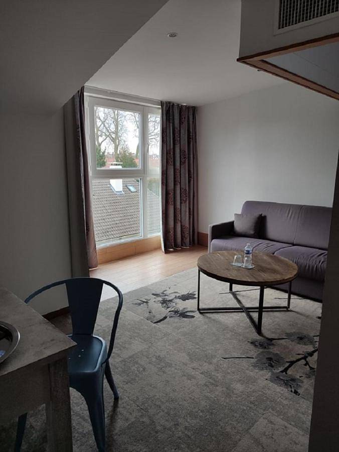 Hôtel pour 2 personnes, avec terrasse, animaux acceptés à Lunéville - 4
