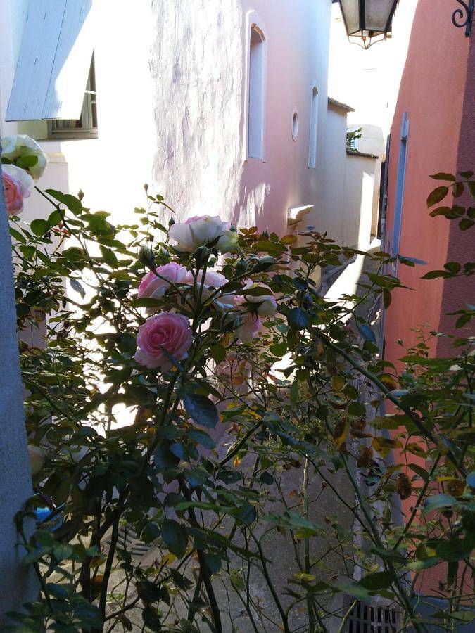 Location de vacances pour 2 personnes, avec vue et balcon à Aniane - 4