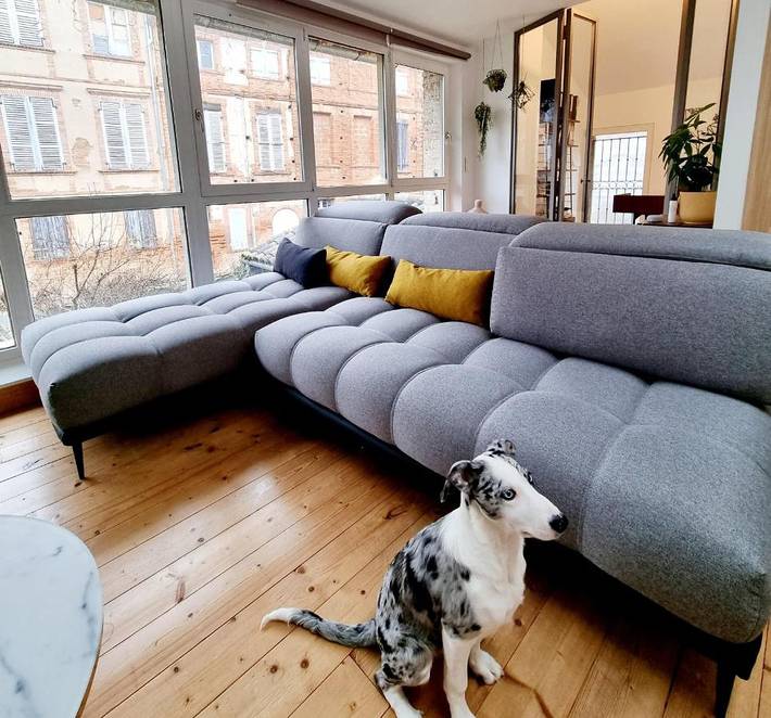 Gîte pour 2 personnes, animaux acceptés à Montech - 4