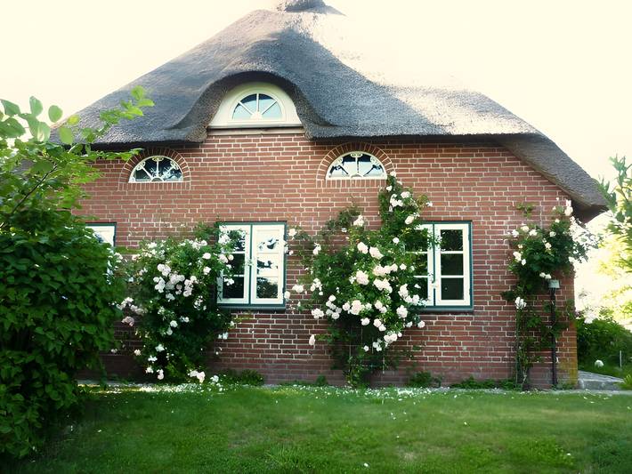 Ferienhaus für 10 Personen, mit Sauna und Garten, mit Haustier in Schleswig-Holstein - 2