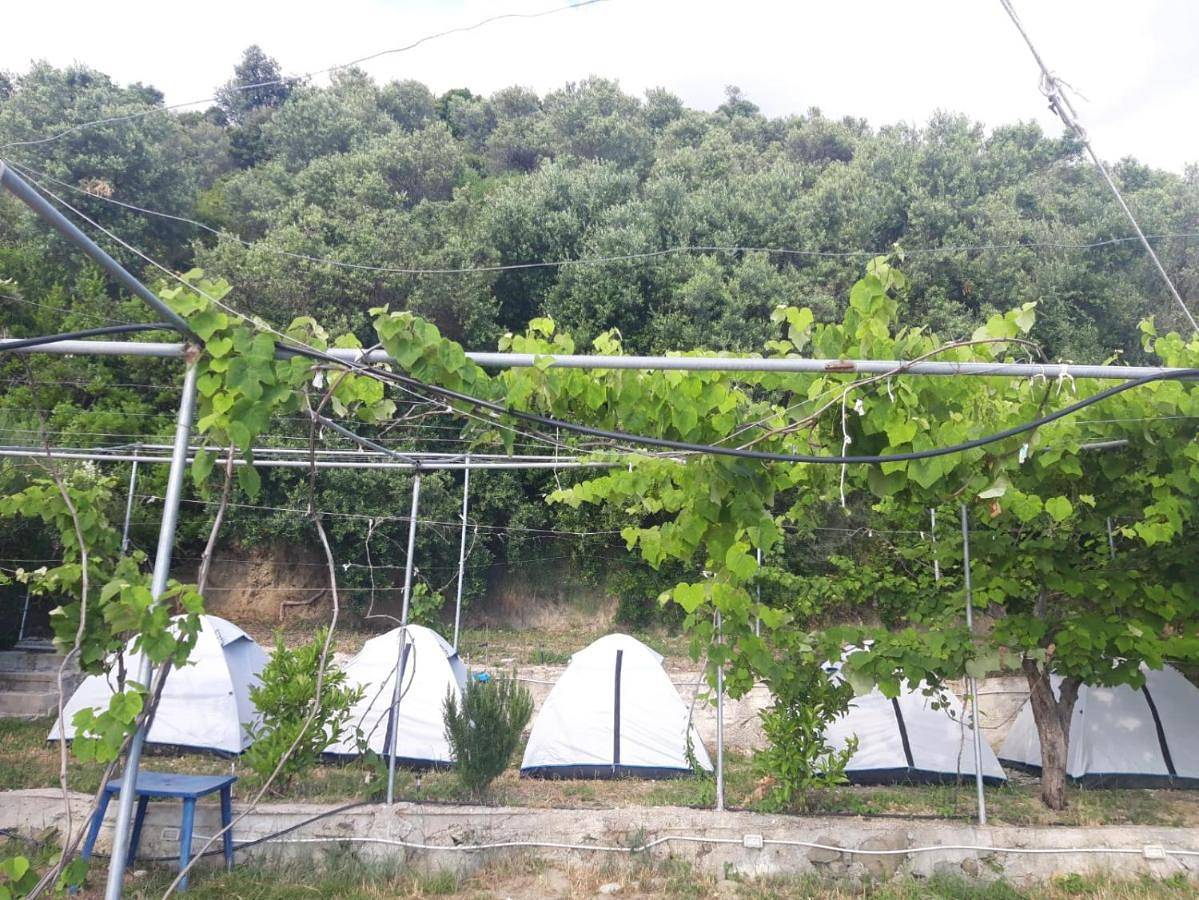 Camping Jungle in Borsh in Lukowa, Wlora