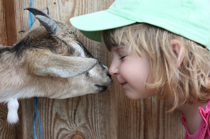 Bauernhof für 5 Personen, mit Garten, kinderfreundlich in Oberfranken - 2