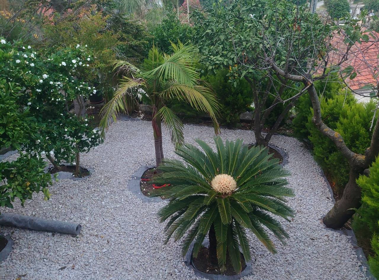 Albergo a gestione familiare per 3 persone con balcone in Molunat, Dubrovnik-Neretva
