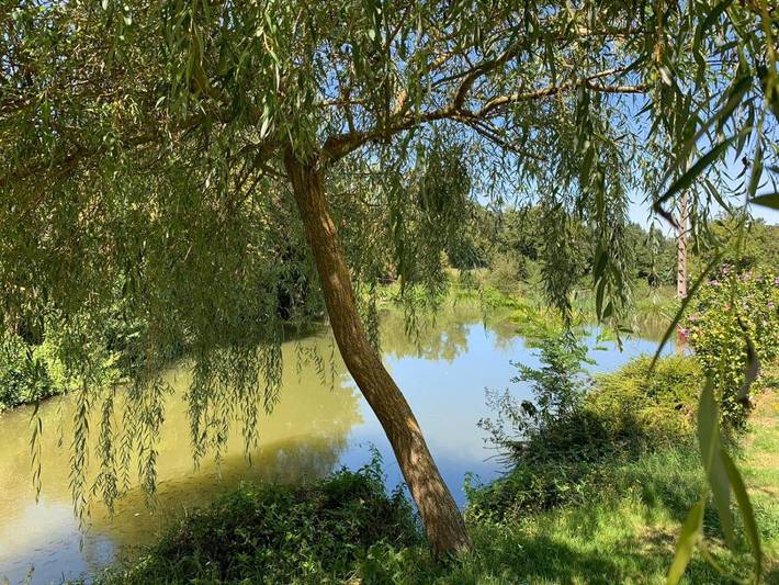 Chambre d’hôte pour 2 personnes, avec vue et piscine ainsi que jardin et terrasse à La Bastide-l'Évêque - 4