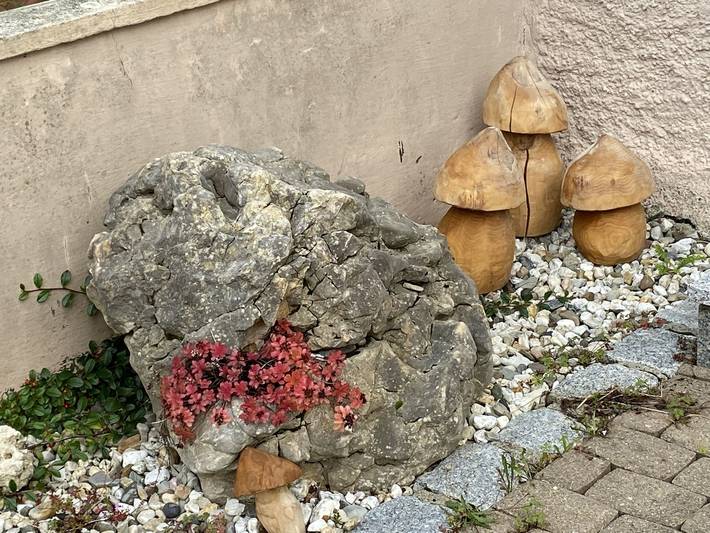 Ferienhaus für 4 Personen in Naturpark Obere Donau - 4