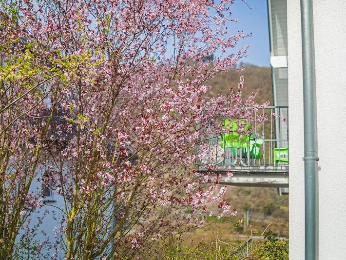 Ferienhaus für 3 Personen, mit Balkon und Terrasse sowie Garten in Cochem - 3